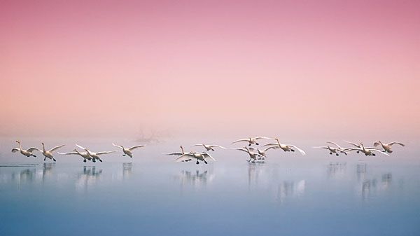 Photograph Suk Eun Kim Side By Side on One Eyeland